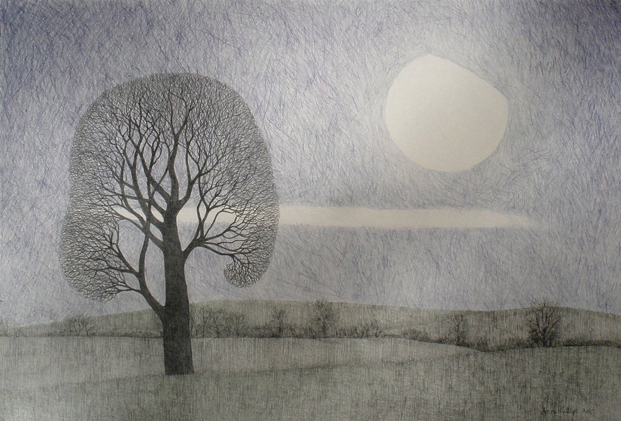 Lune de février, 2010 - Anna Phillips