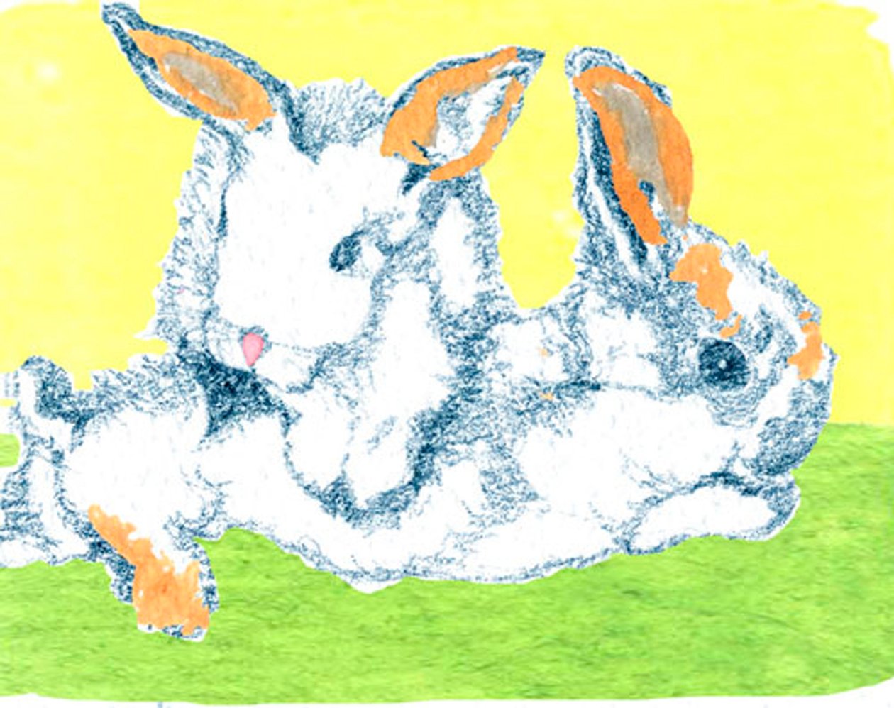 Lapins de Pâques - Anna Platts
