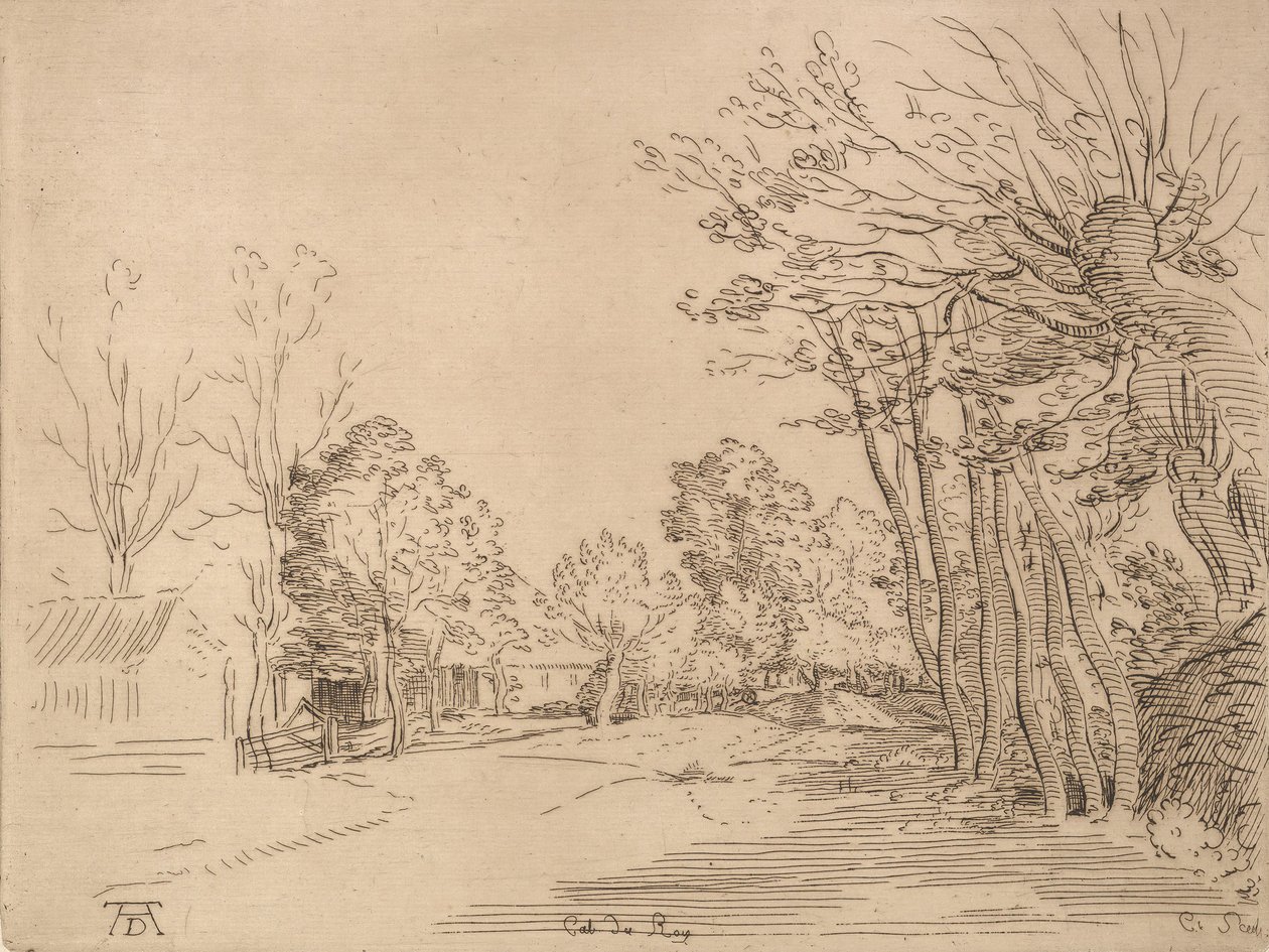 Paysage d