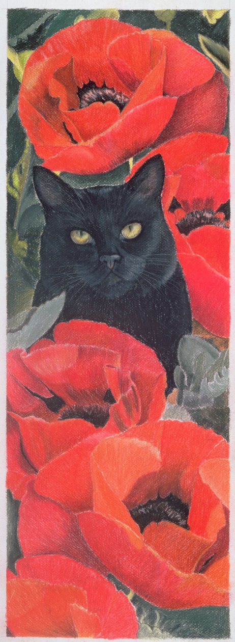 Chat noir avec coquelicots - Anne Robinson