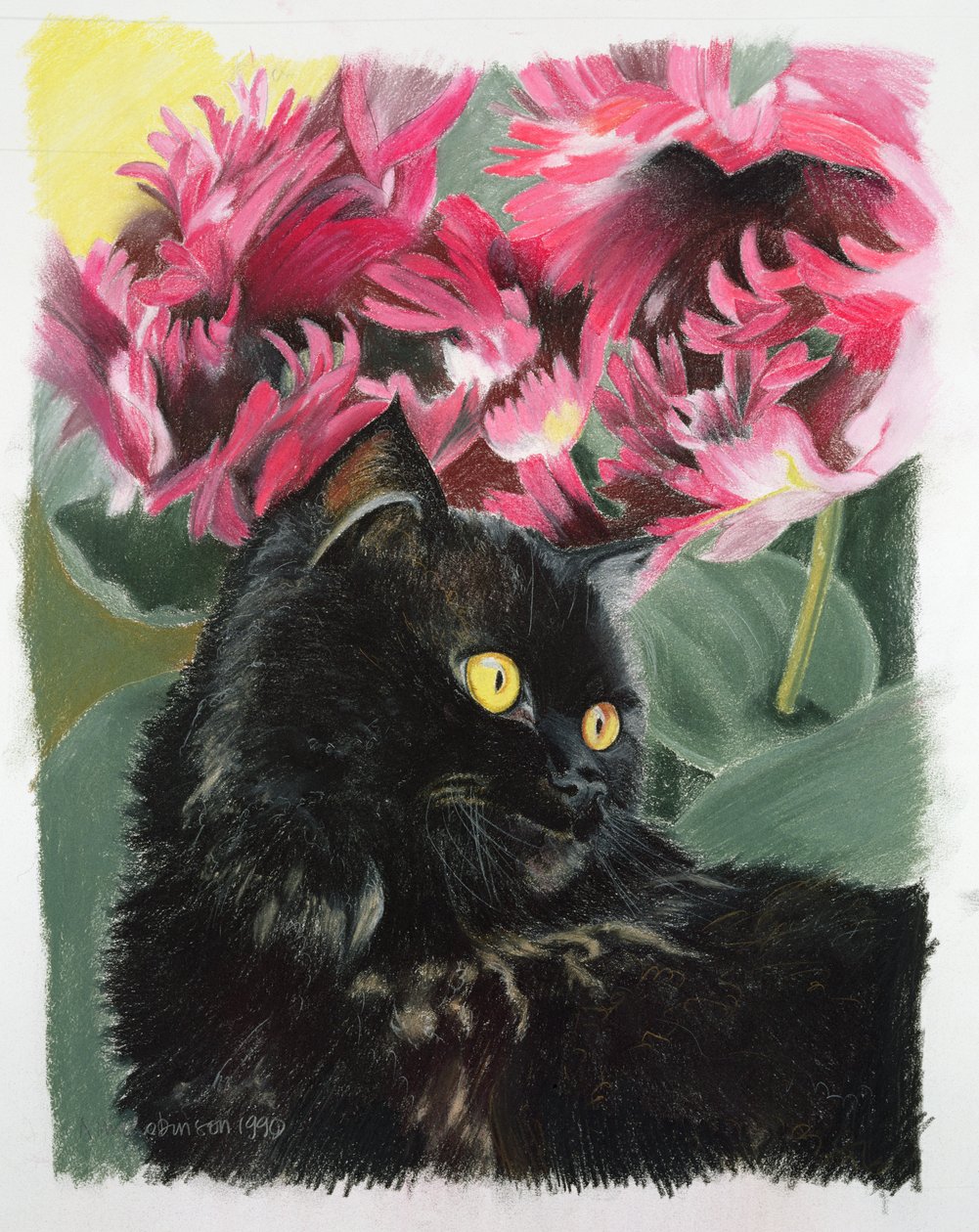 Tulipes noires - Anne Robinson