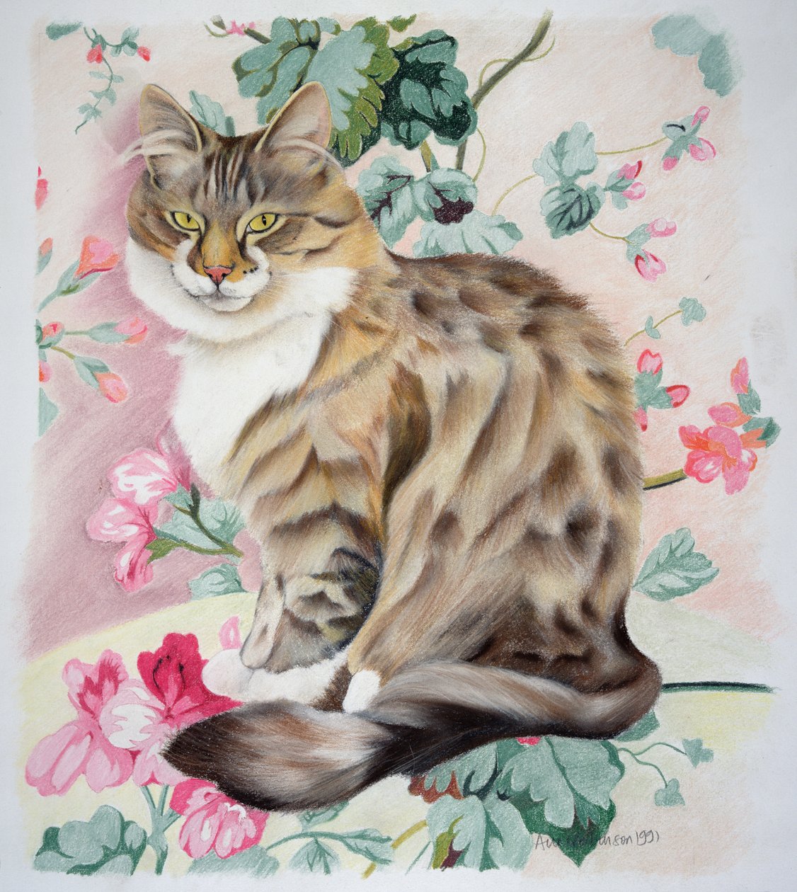 Chat tigré à poil long - Anne Robinson