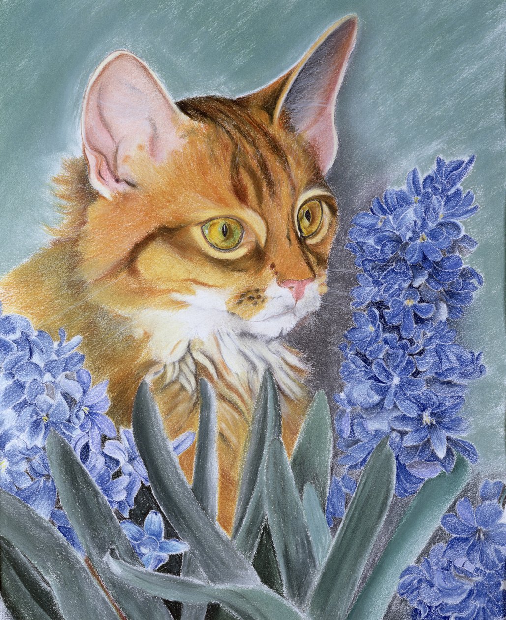Tosca - Anne Robinson