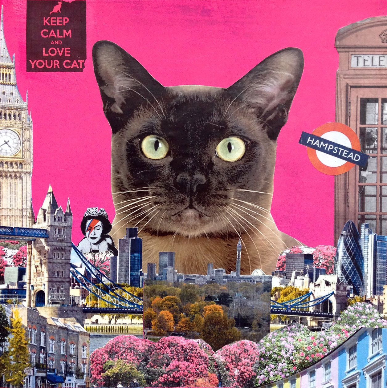 Chat urbain, 2015 - Anne Storno