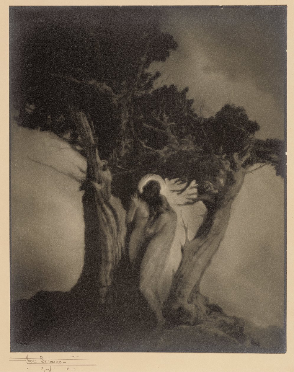 Le Cœur de la tempête - Anne W. Brigman