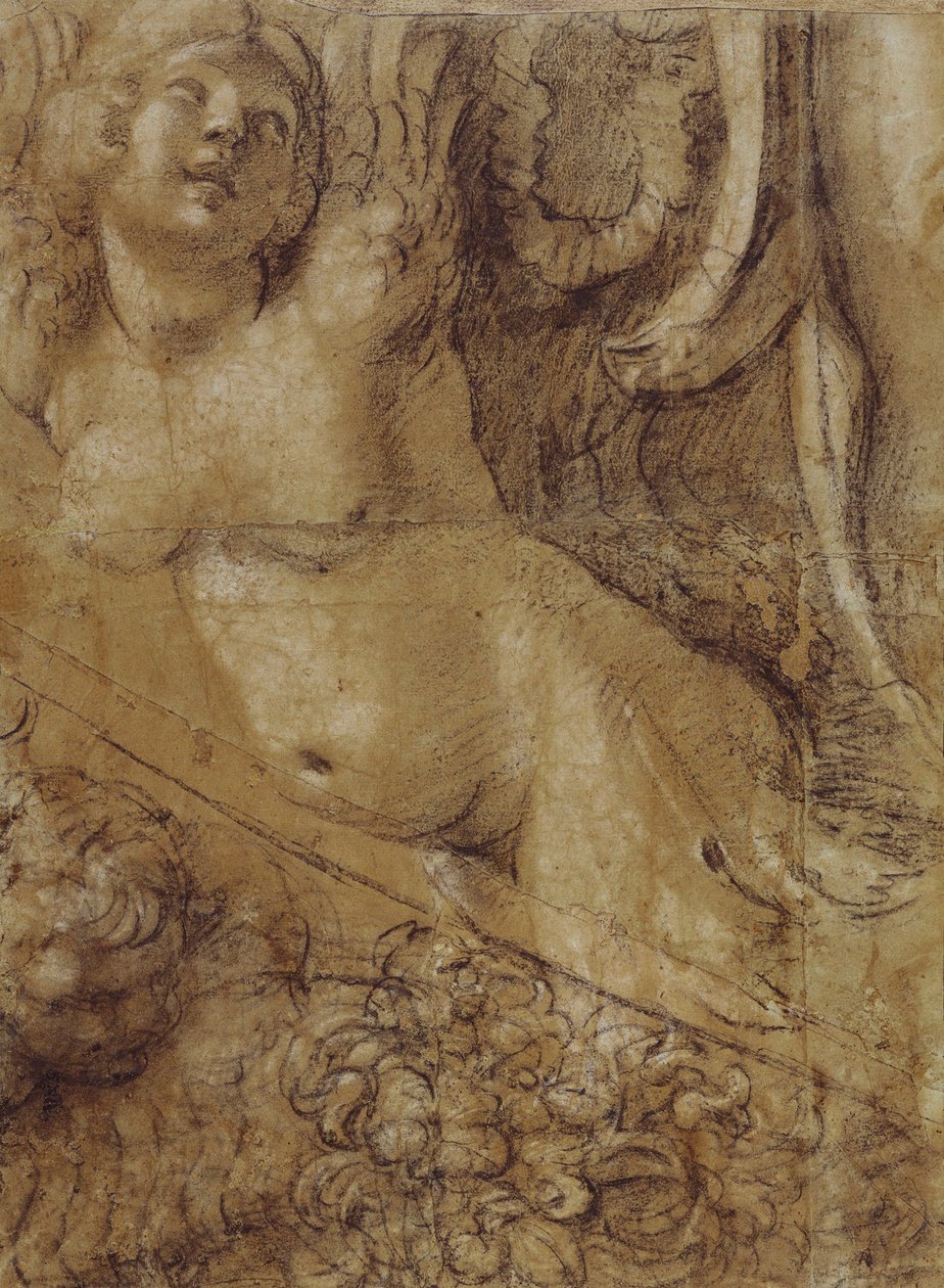 Carton Sirène - Annibale Carracci