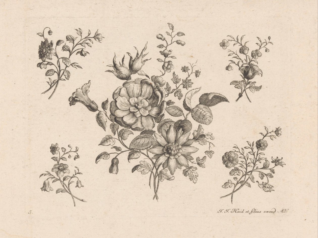 Fleurs - Anonymous