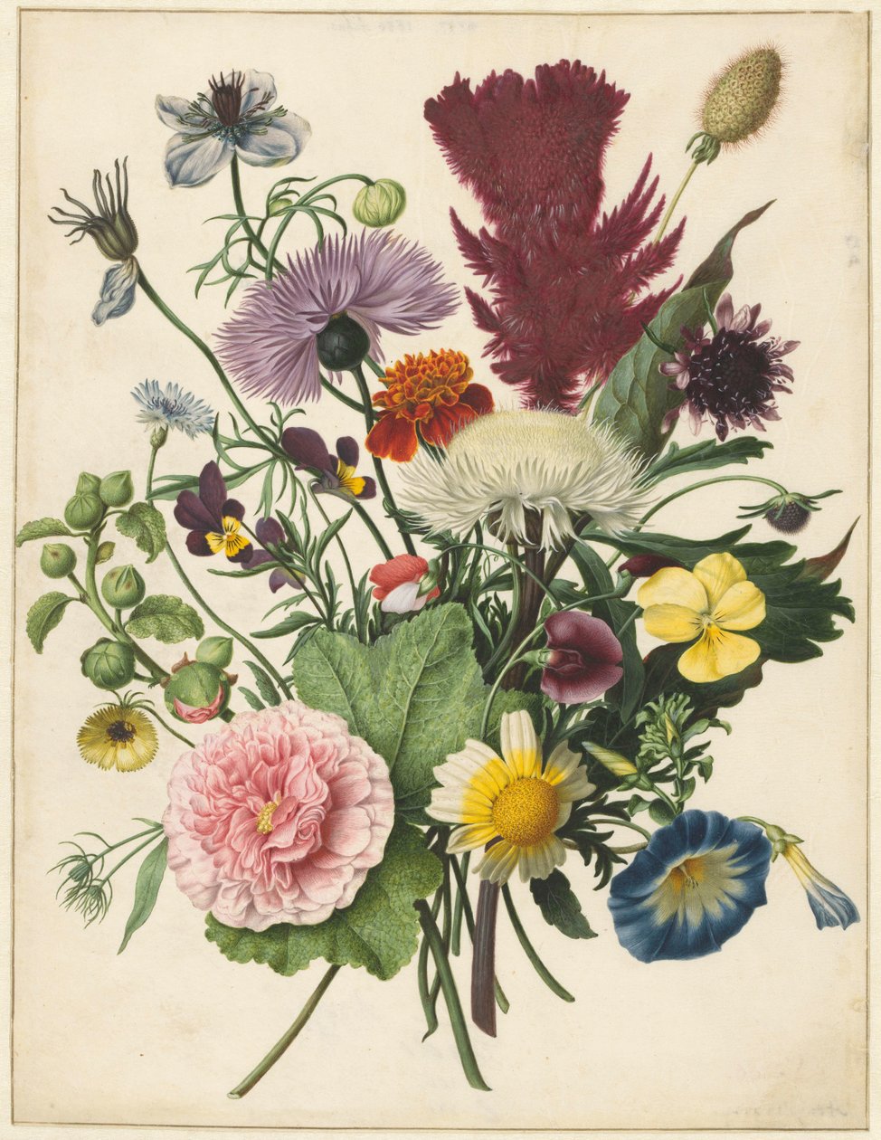 Bouquet de fleurs - Anonymous