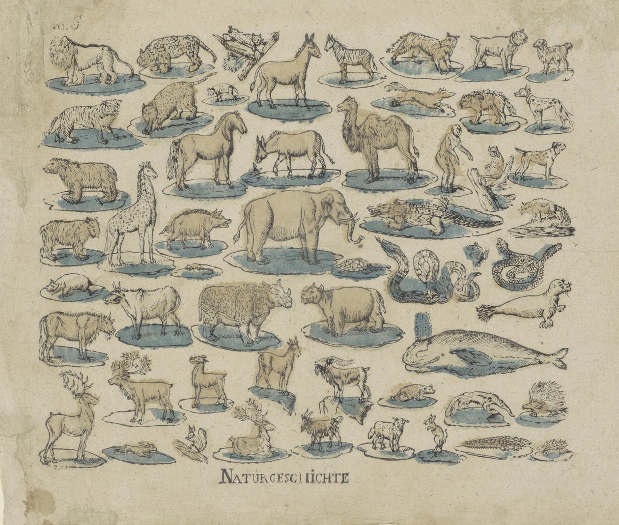 Animaux - Anonymous