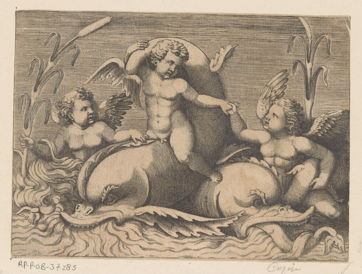 Trois putti avec des dauphins - Anonymous