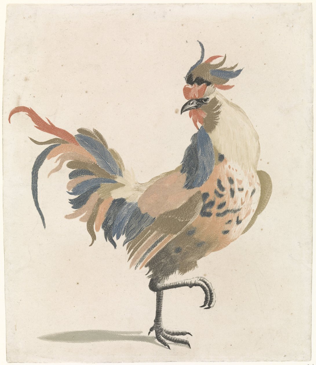 Coq marchant vers la droite (version A) - Anonymous