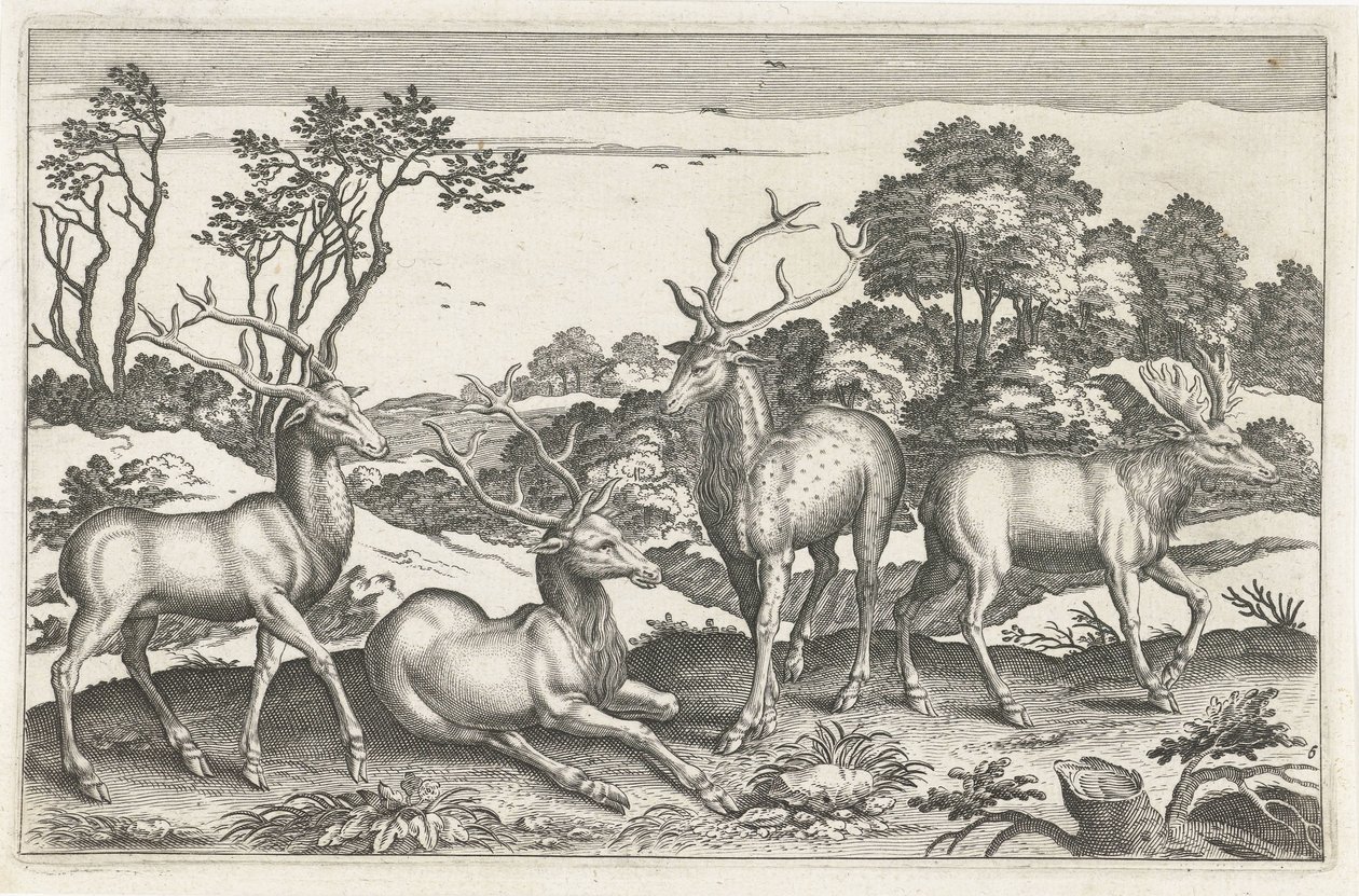 Cerfs - Anonymous