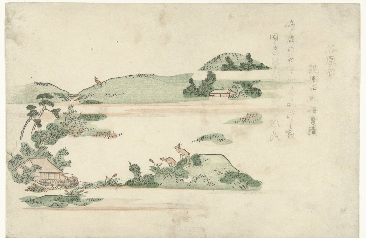 Cerfs à Taniwara - Anonymous