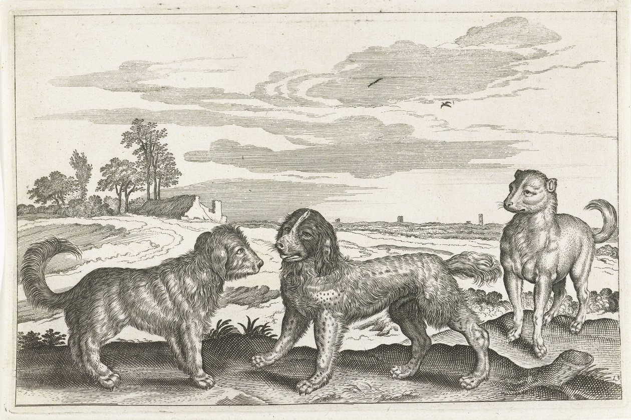 Chiens (Animalivm Qvaddrvpedvm) - Anonymous