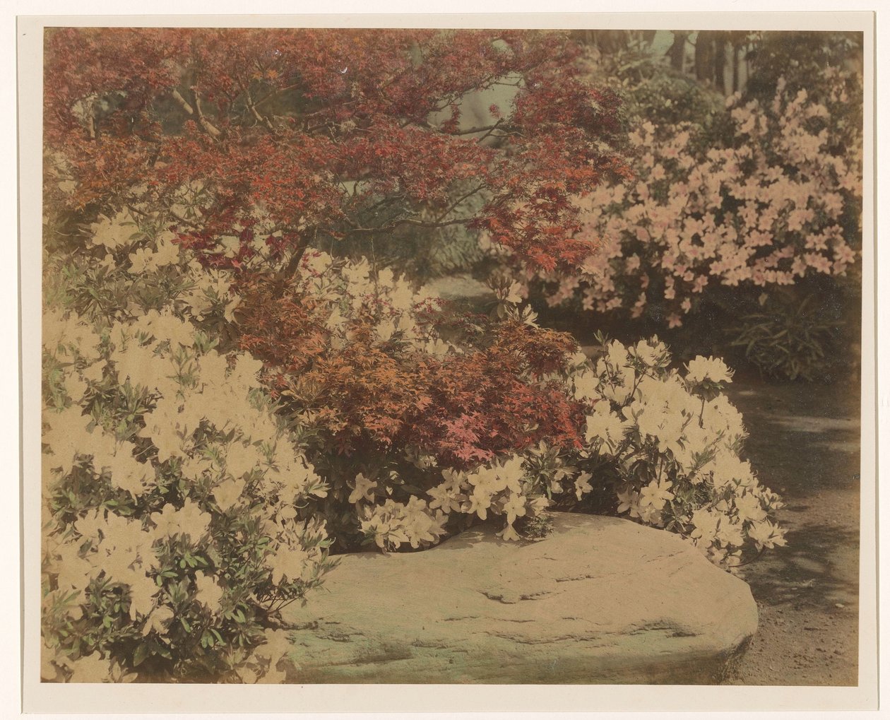 Jardin japonais avec fleurs - Anonymous