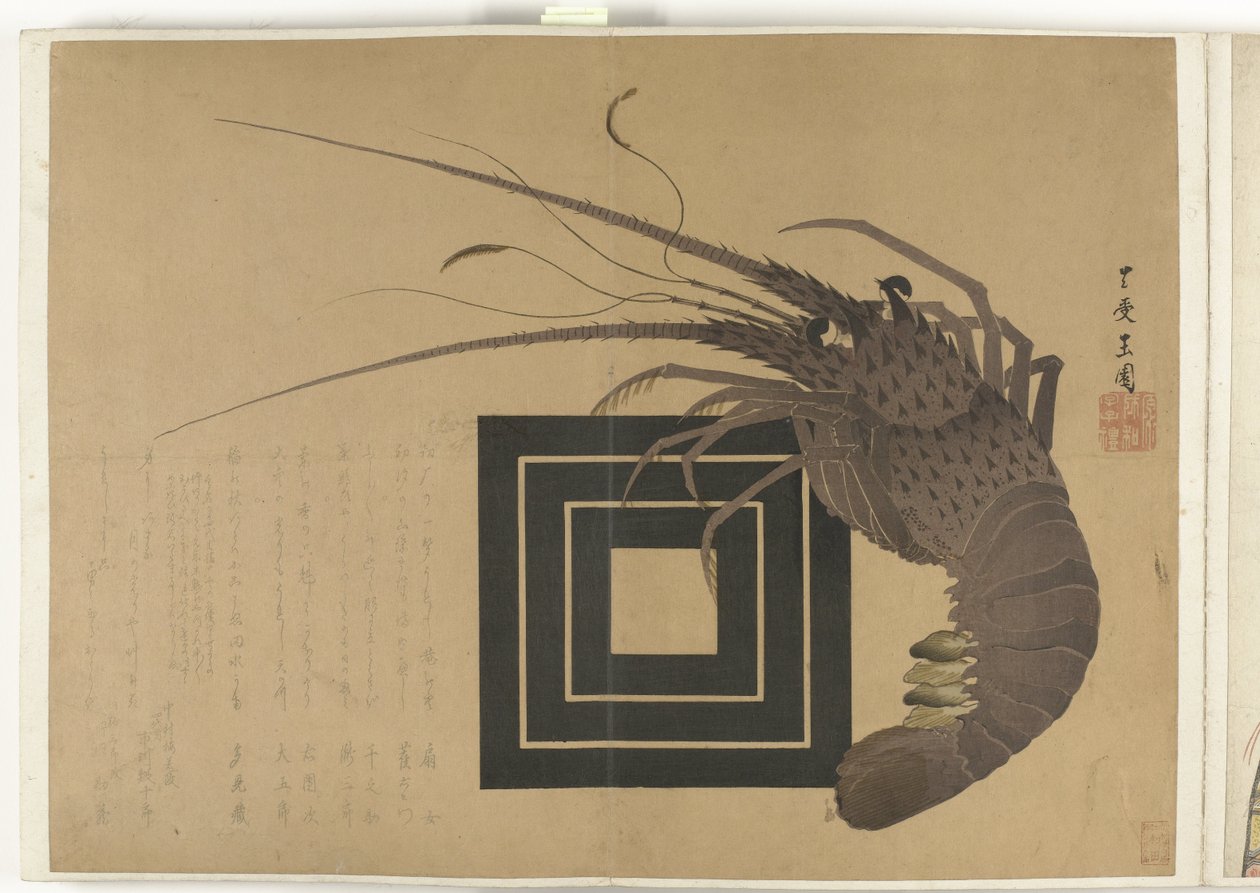 Homard - Anonymous