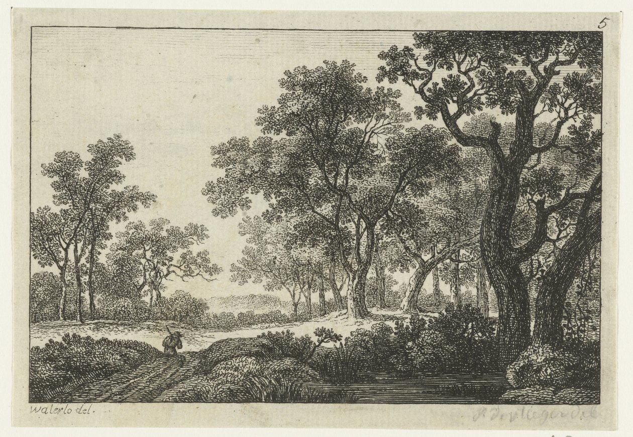 Sentier à travers la forêt - Anonymous