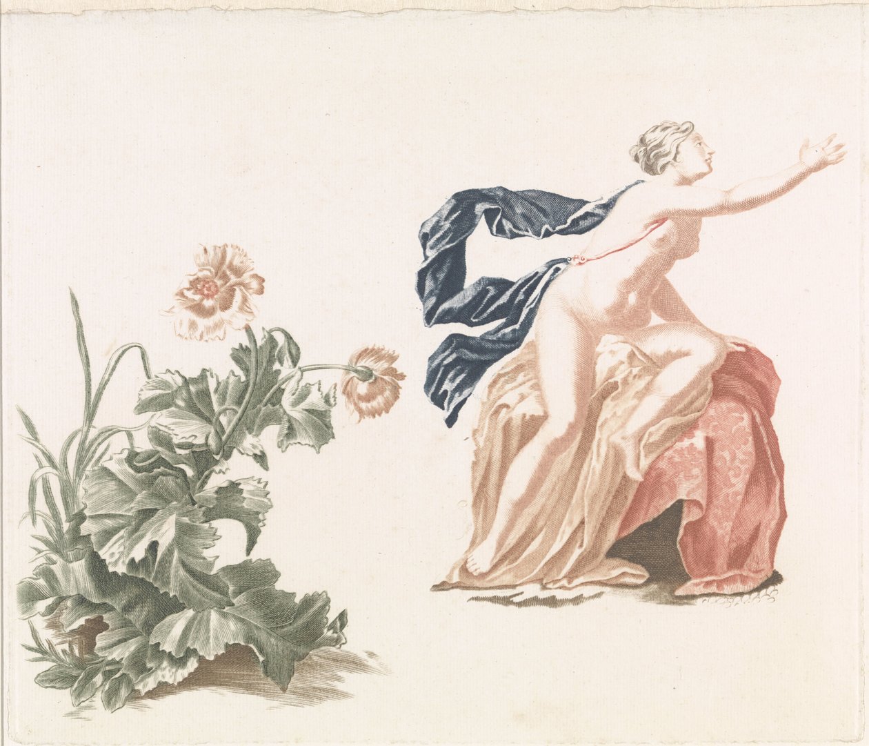 Pavot et figure féminine nue - Anonymous
