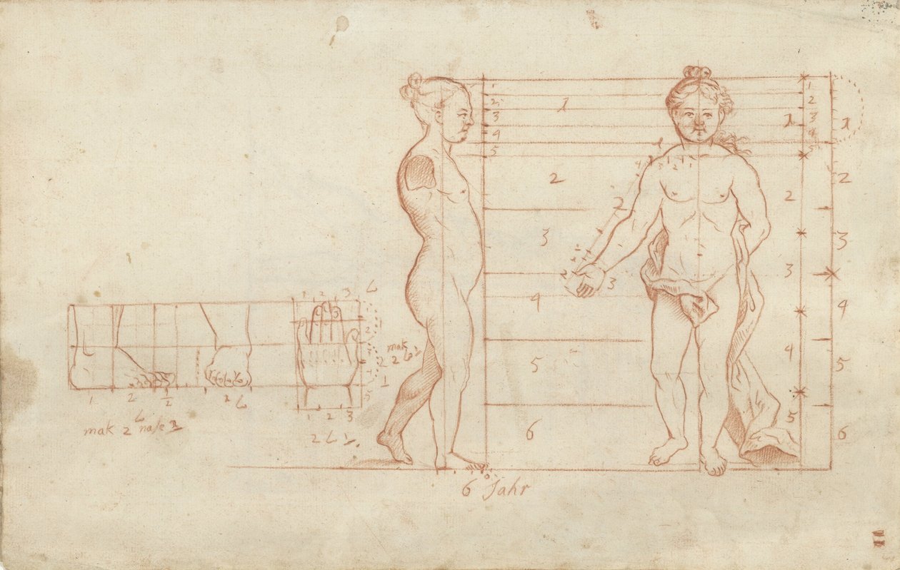 Étude de proportions d