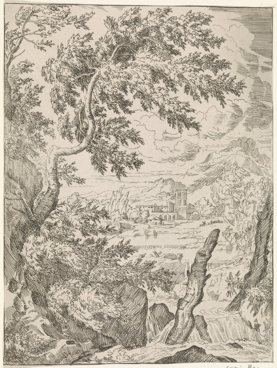 Cascade avec souche d