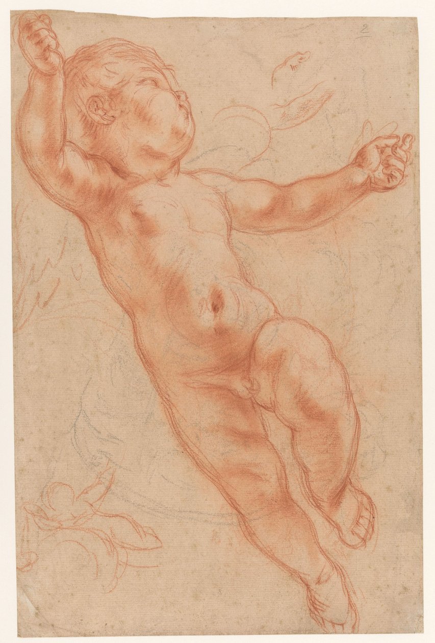 Putto flottant - Anonymous