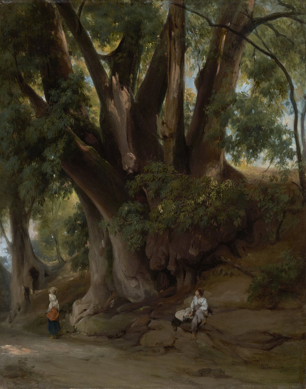 Paysage arboré italien (Route près d