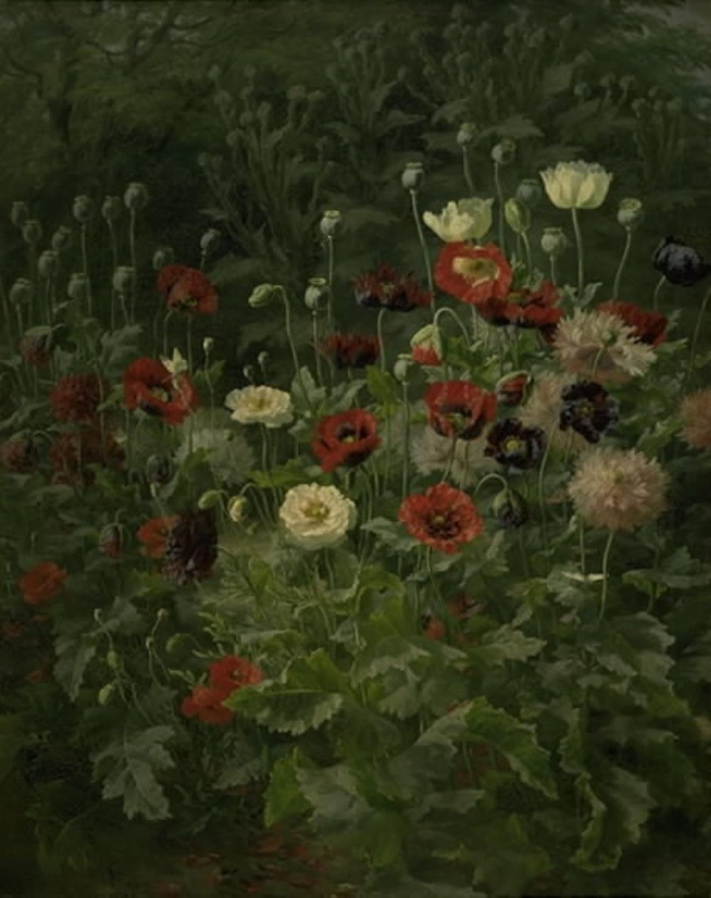 Coquelicots - Anthonie Christensen