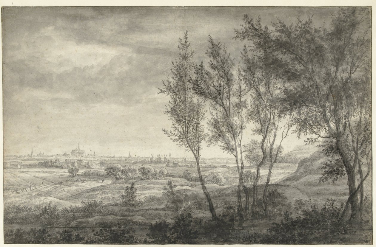 Vue des dunes sur Haarlem - Anthonie Waterloo