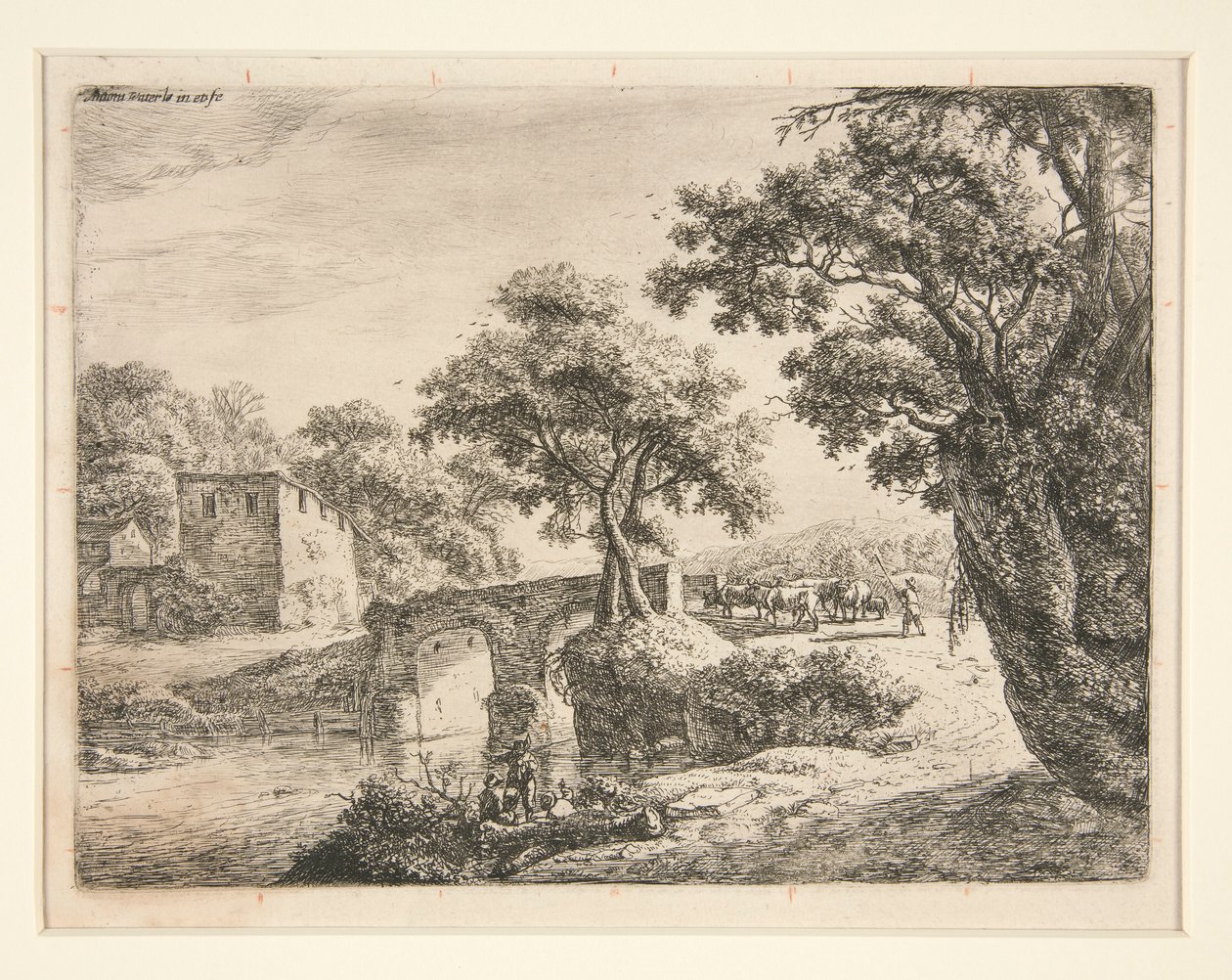 Troupeau Près d