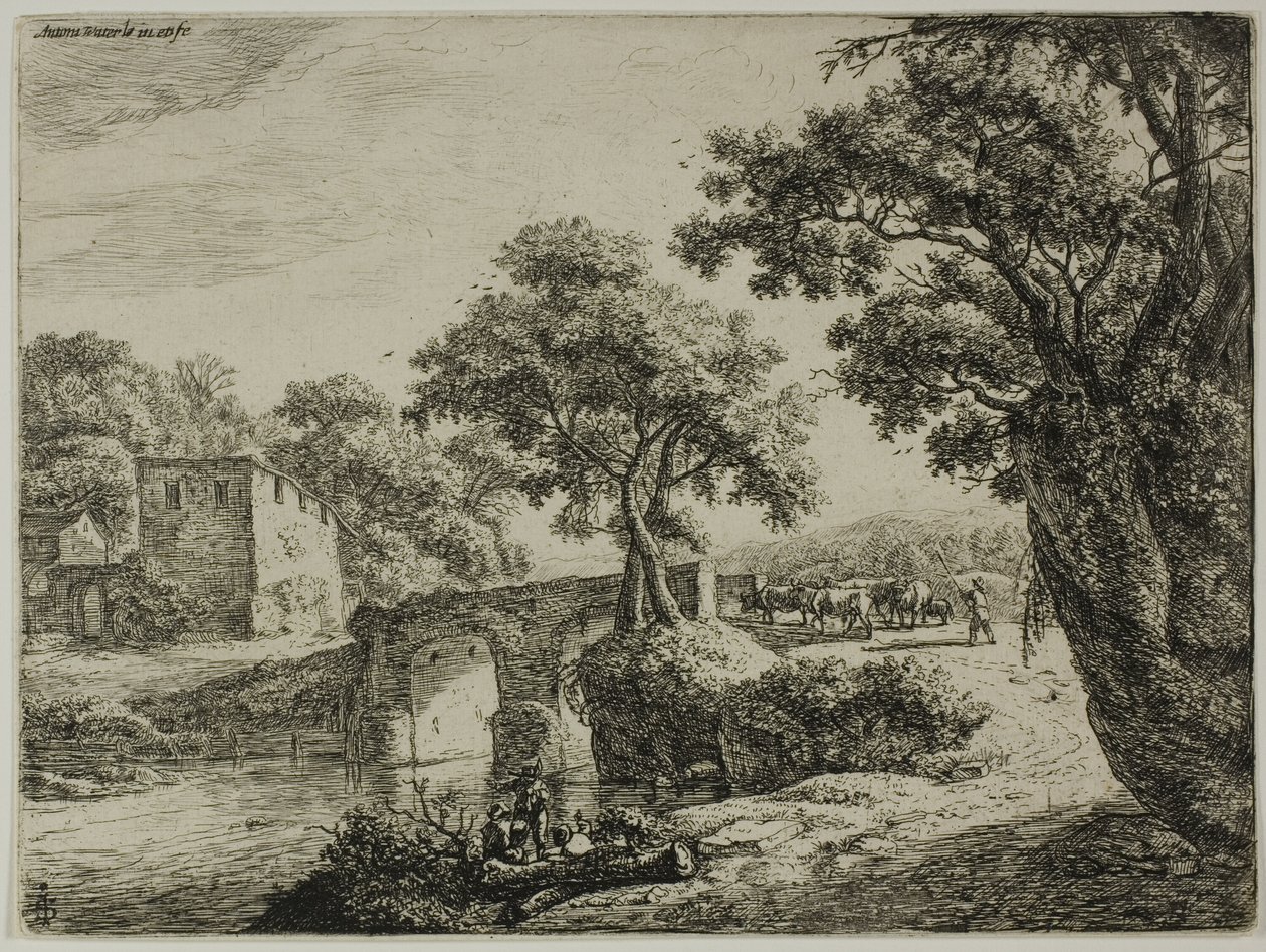 Troupeau près d