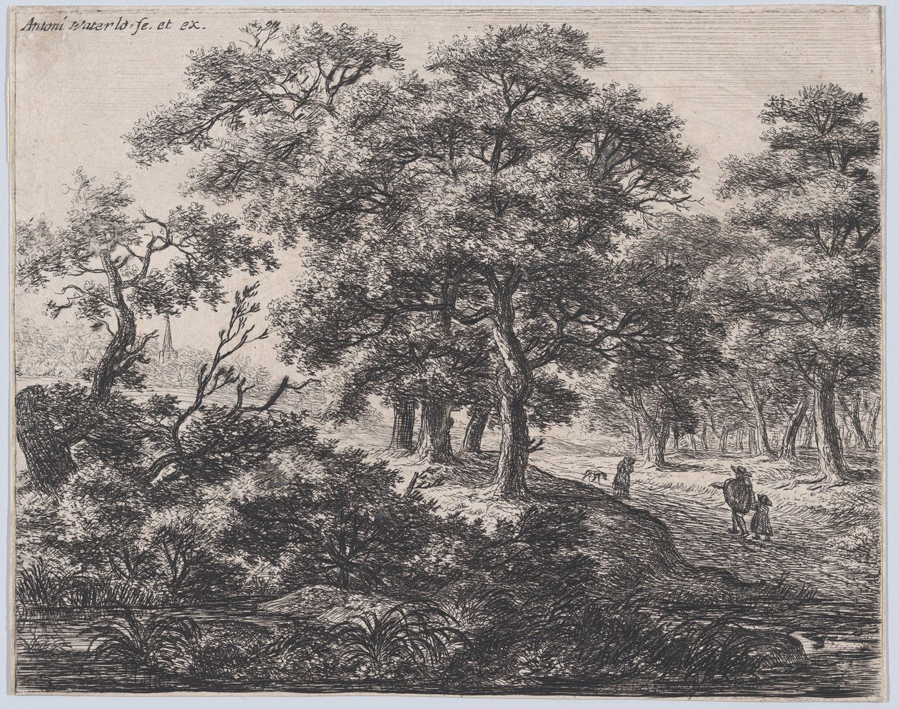 Les quatre arbres, 17e siècle - Anthonie Waterloo
