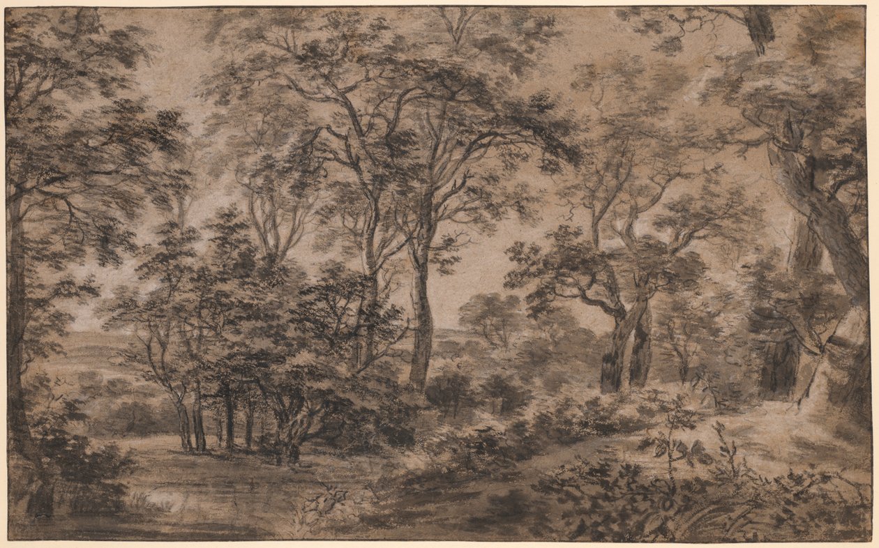 Paysage Boisé - Anthonie Waterloo
