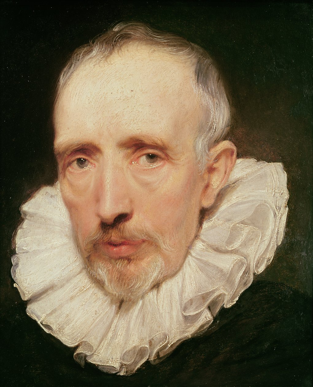 Portrait de Cornelis van der Geest, c.1620 - Anthony van Dyck