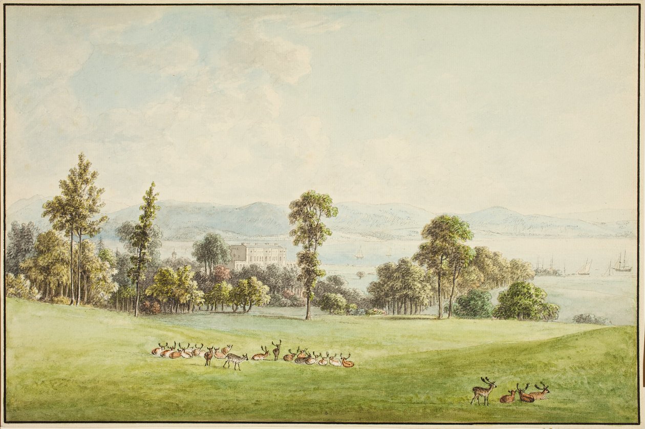Vue sur le Dart - Anthony Devis