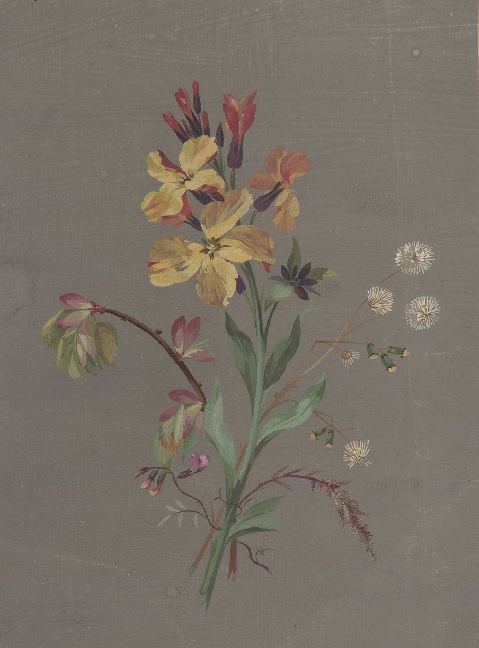 Motif floral - Antoine Berjon