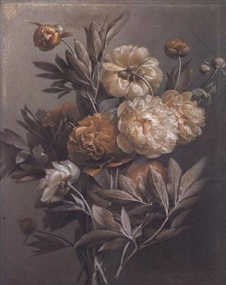 Pivoines - Antoine Berjon