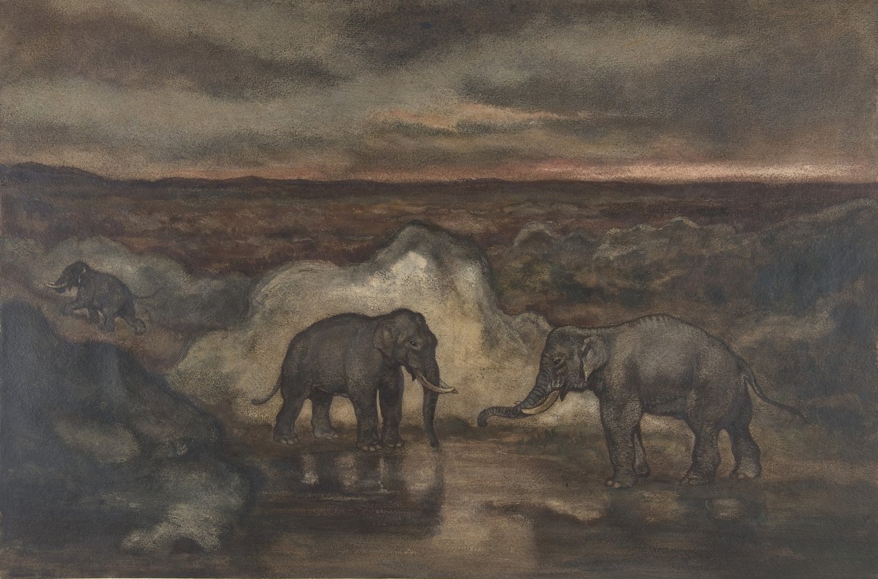 Éléphants près d