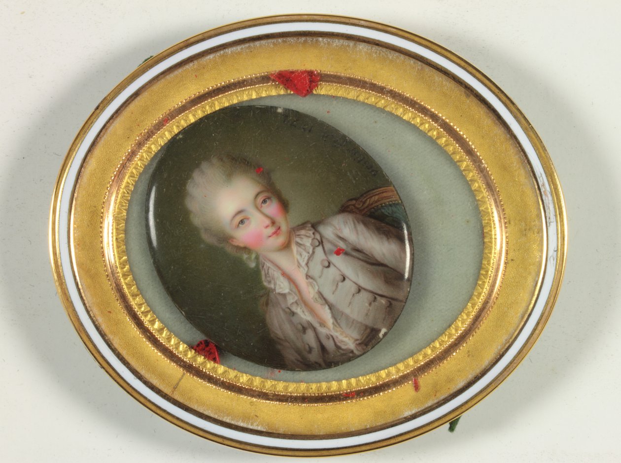 La Comtesse du Barry - Antoine Vestier