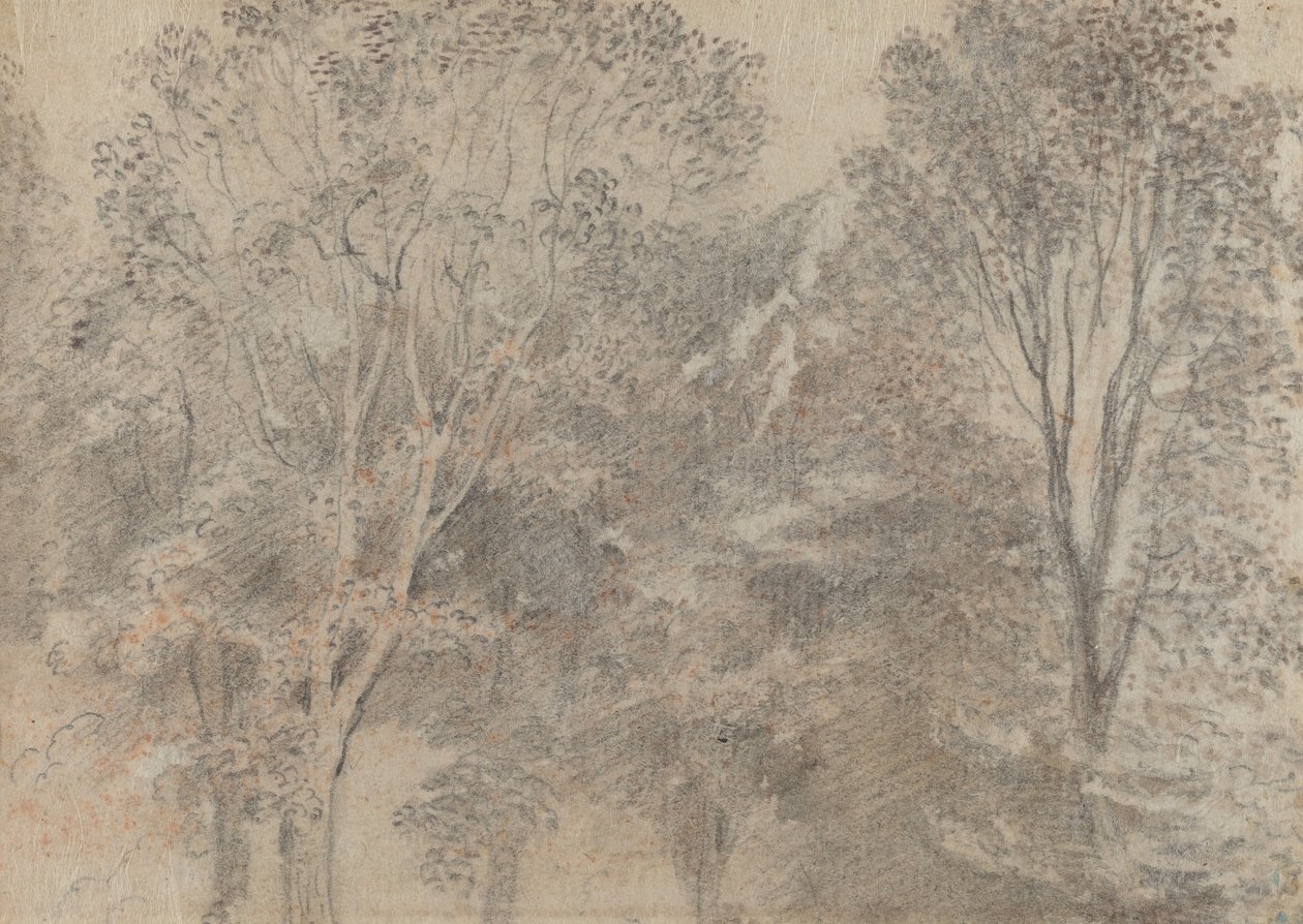 Cimes des arbres [verso] - Antoine Watteau