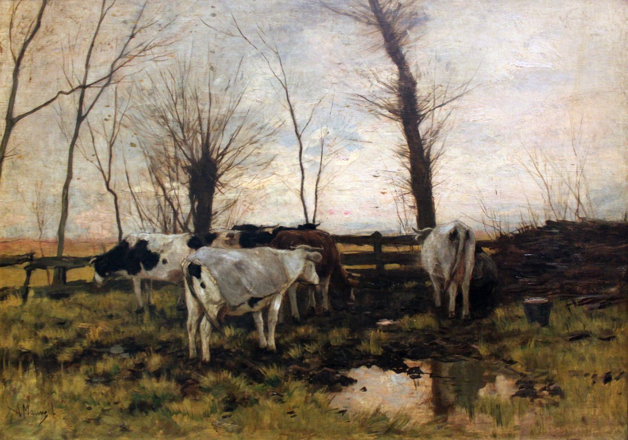 Vaches au pâturage - Anton Mauve