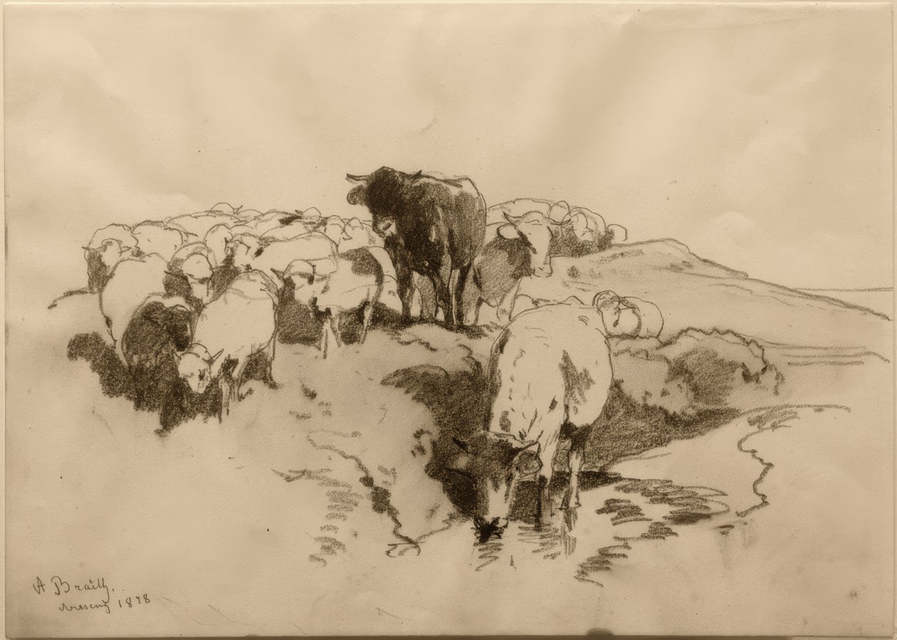 Vaches et moutons - Anton Braith
