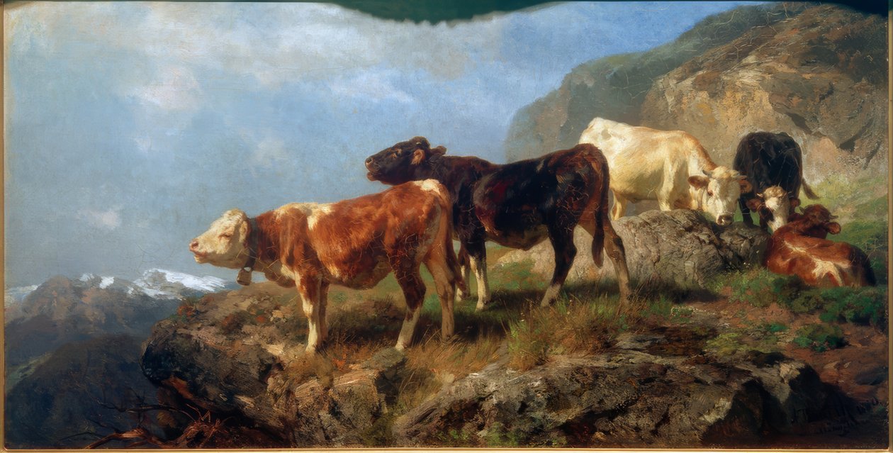 Bétail en haute montagne - Anton Braith