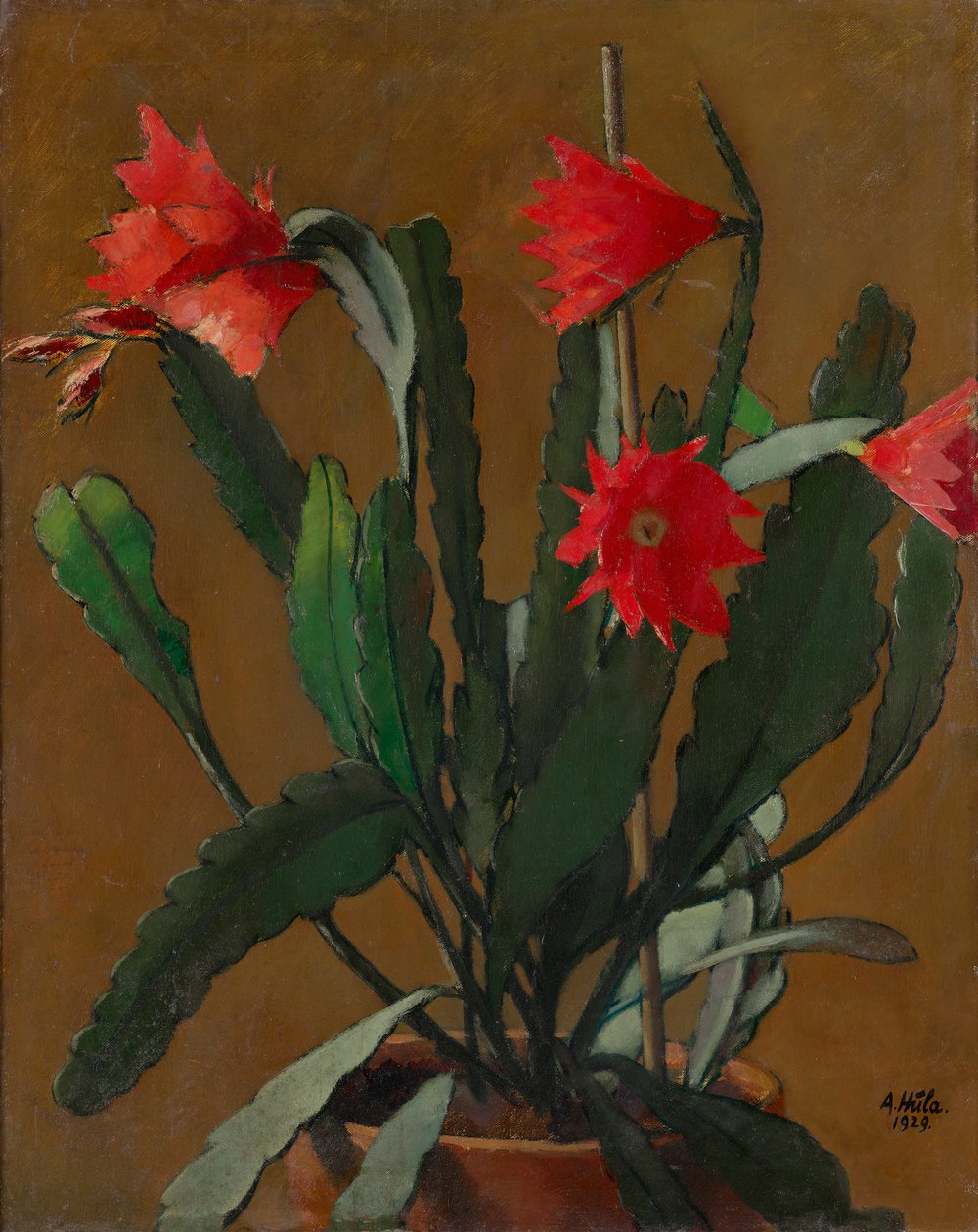 Nature morte avec cactus en fleur - Anton Hula