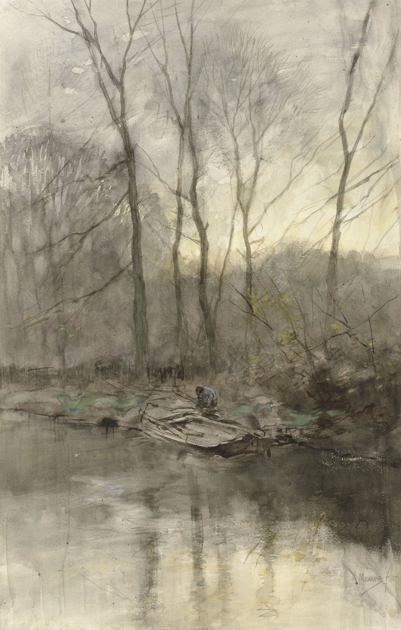Lisière de forêt au bord de l
