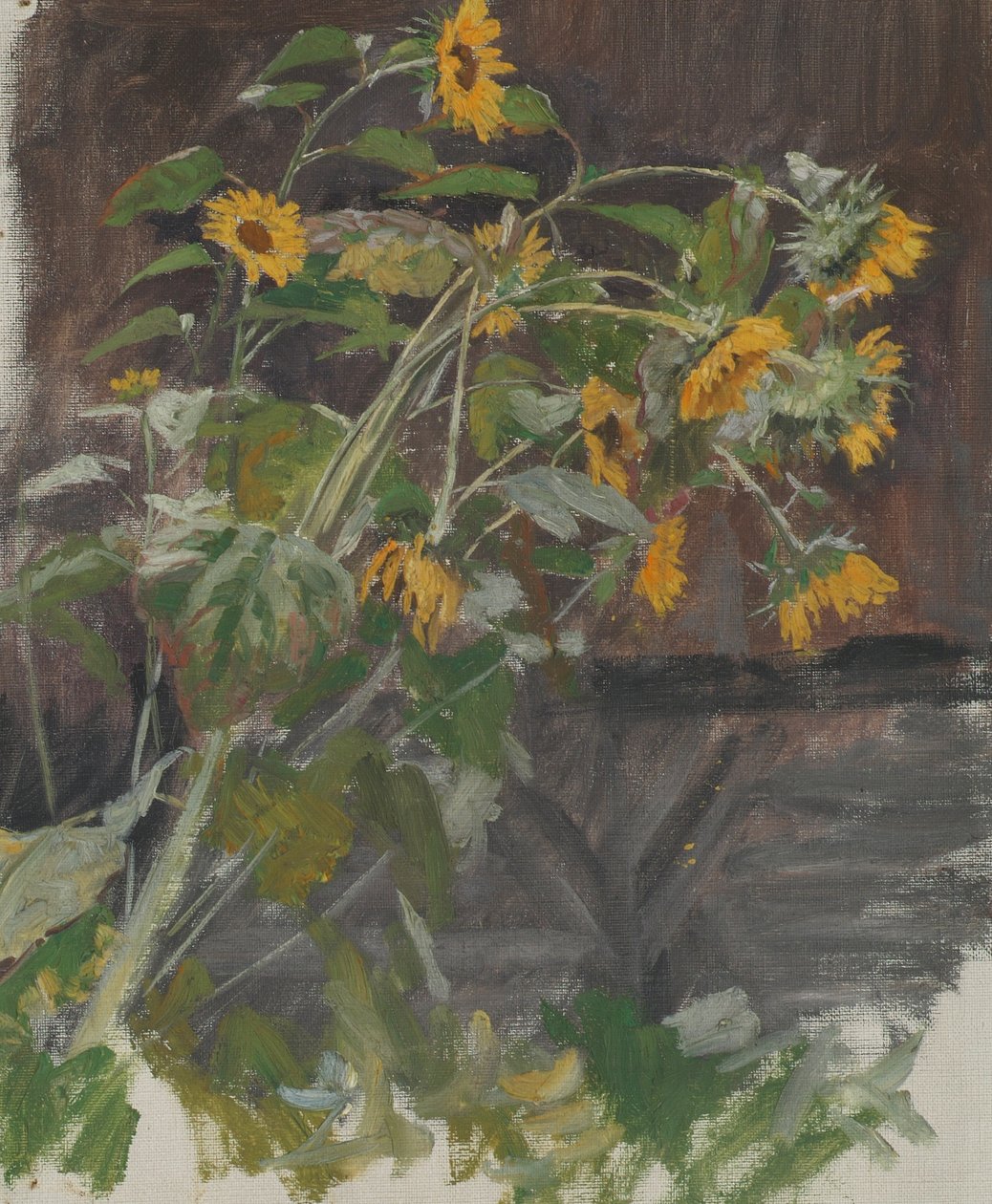 Tournesols - Anton Nowak