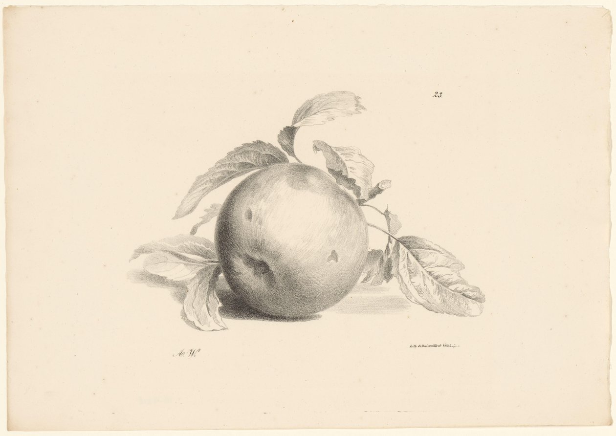 Pomme (série Fruit) - Anton Weiss