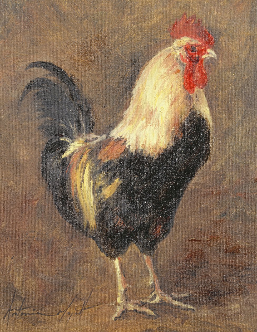 Le Coq, 1999 - Antonia Myatt