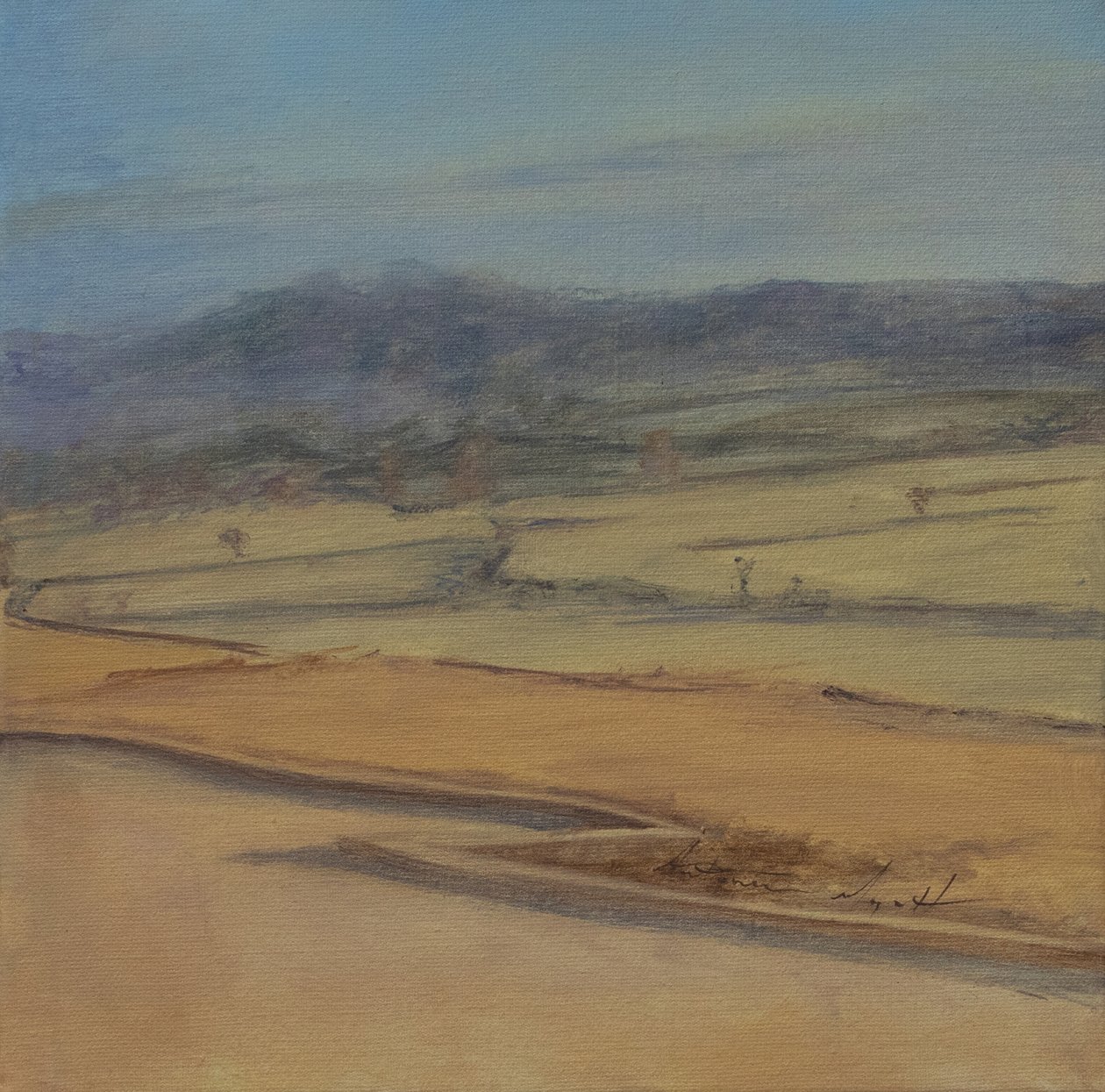 Haie en zigzag, Somerset, 2022 - Antonia Myatt