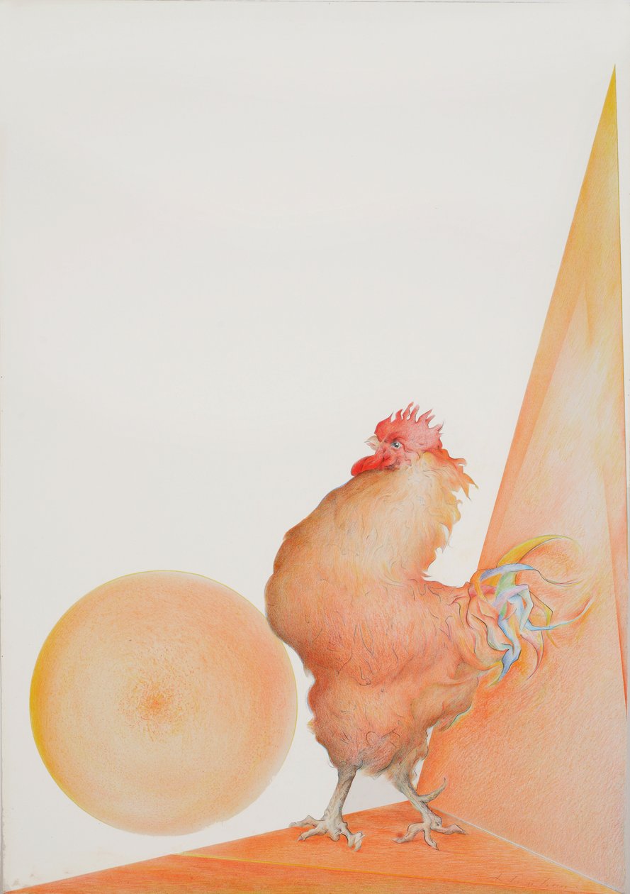 Coq - Antonio Ciccone
