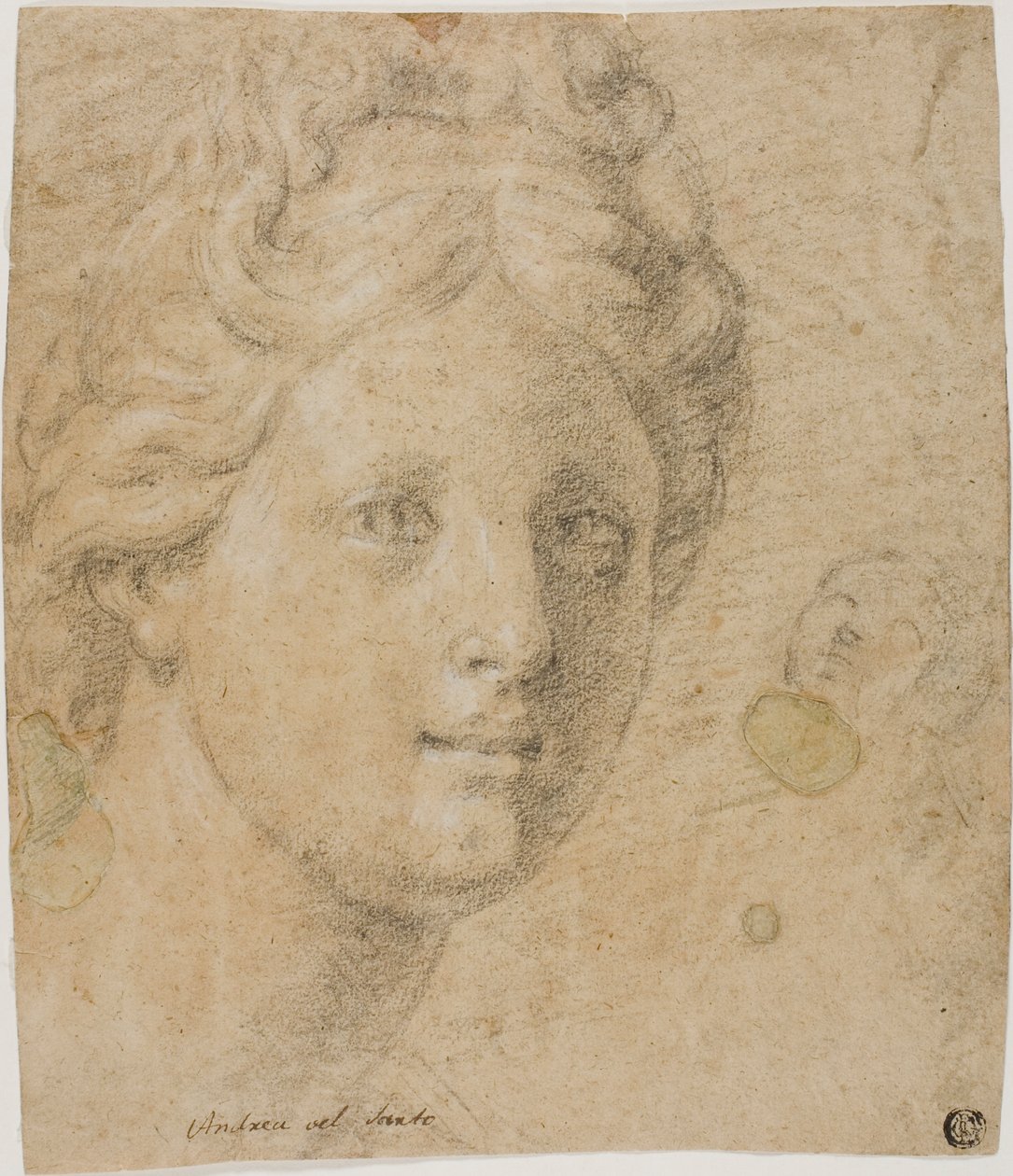 Tête de femme - Antonio Balestra
